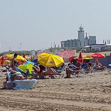 Bollenhuis Aan Zee - 1 펜션 *